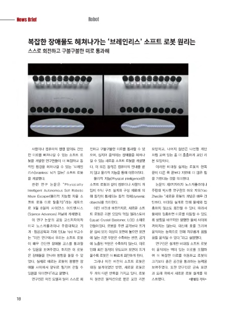리스앤컴퍼니 이미지