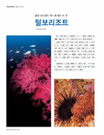 털보리조트 이미지