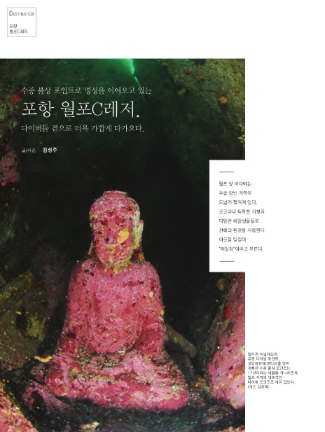 C앤C포항 이미지