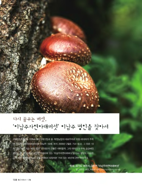 이남주자연아래버섯 이미지