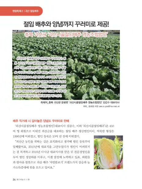 괴산시골절임배추영농조합법인 이미지