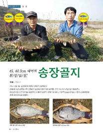 대어 이미지