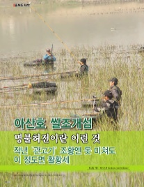 조개섬 이미지