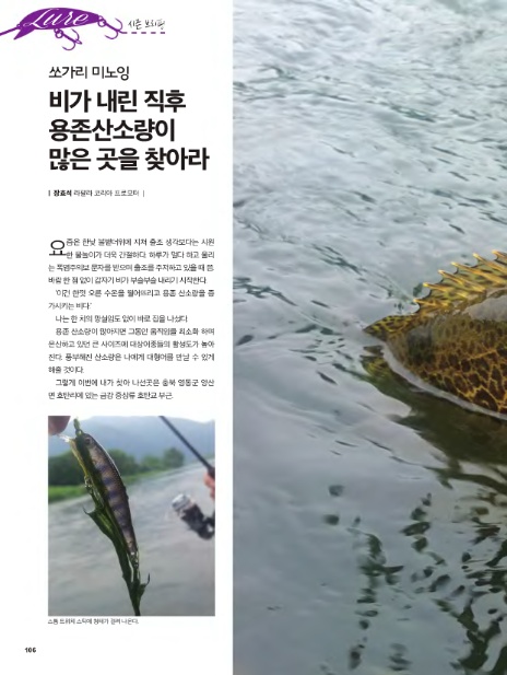 비노잉 이미지