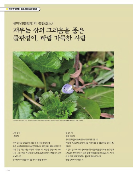 송인정보 이미지
