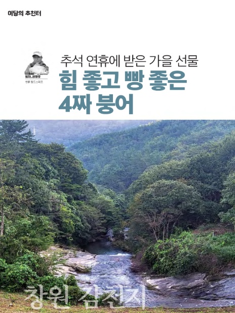 감천지 이미지