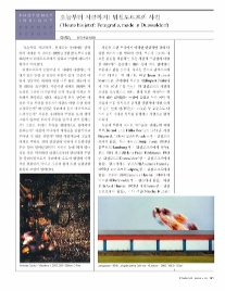 오늘,지금 이미지