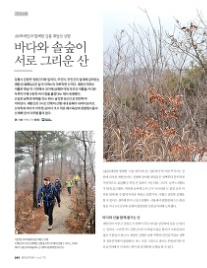 솔숲미디어 이미지