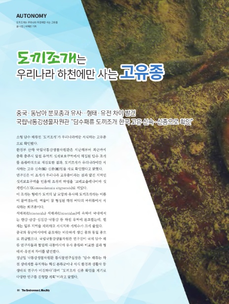 (주)차이의발견 이미지