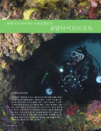 교암다이브리조트 이미지