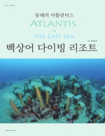 백상어다이빙 리조트 이미지