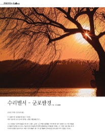 수리별 이미지