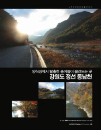 스파이더플라이 이미지