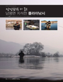 스파이더플라이 이미지