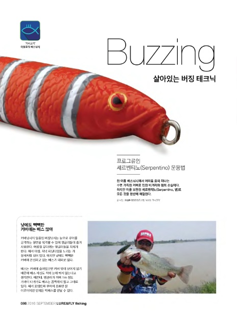 버징(Buzzing) 이미지