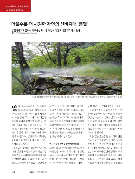 (주)자연의 신비 이미지