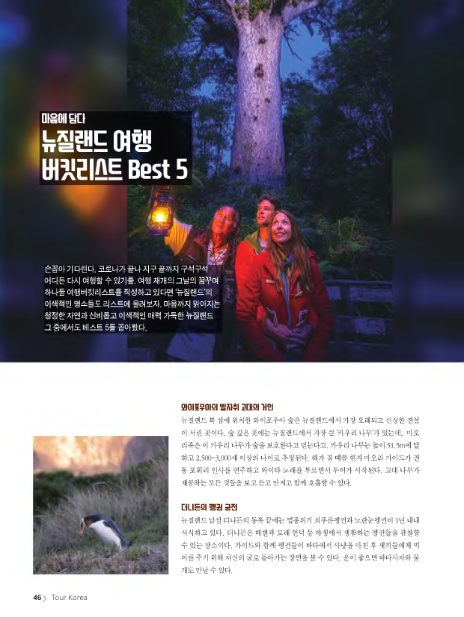(주)마음담다 이미지