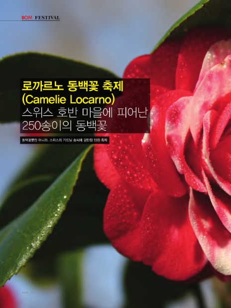 (주)동백미디어 이미지