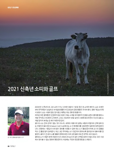 탑골프 이미지