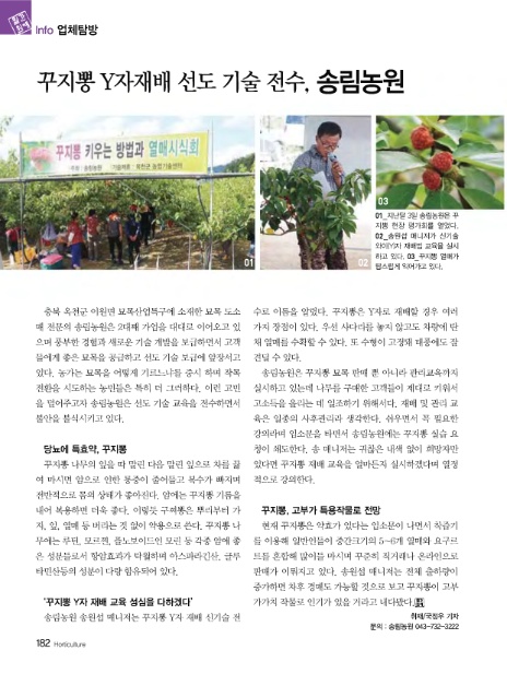 송림정보기술 이미지
