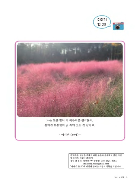 재단법인 대승불교 양우회유지재단 이미지
