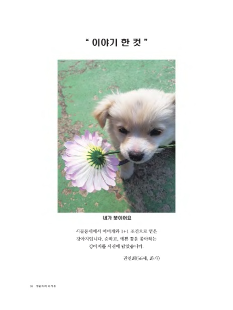재단법인 대승불교 양우회유지재단 이미지