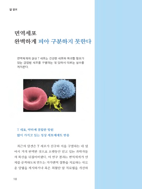 주식회사 피아 이미지