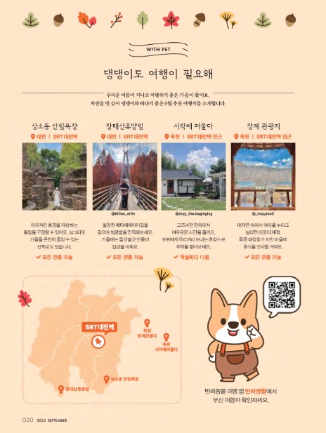 (주)여행이필요해 이미지