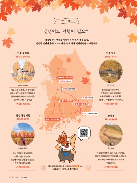 (주)여행이필요해 이미지