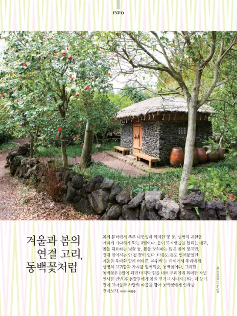 (주)동백미디어 이미지