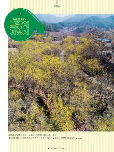 스위트투어(주) 이미지