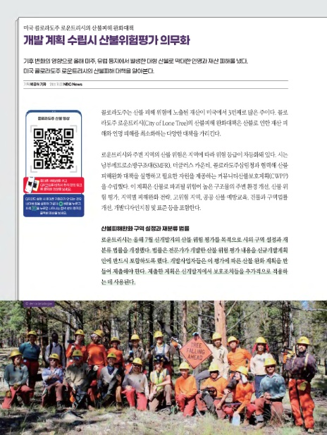 로운트리 이미지