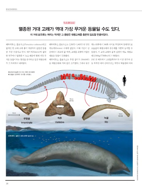 주식회사 유니콘웨일 이미지