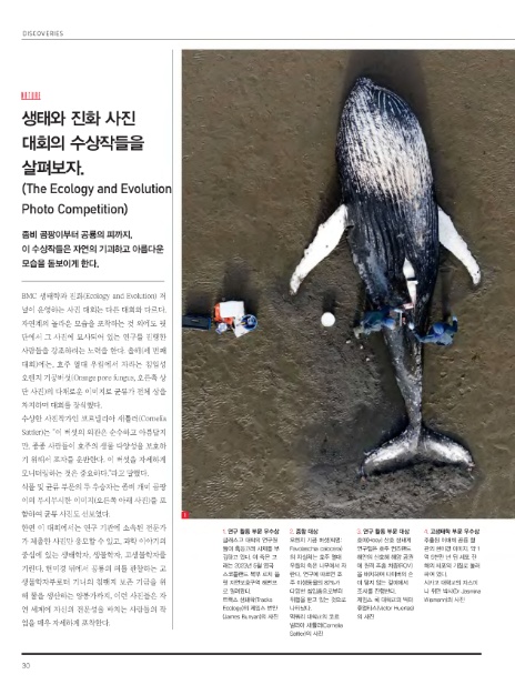 주식회사 유니콘웨일 이미지