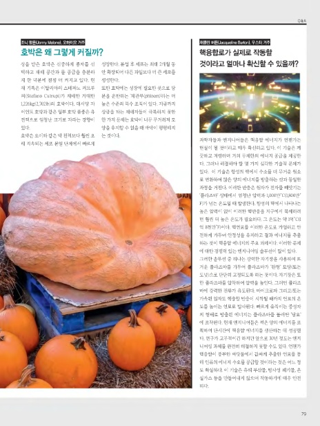 주식회사 유니콘웨일 이미지