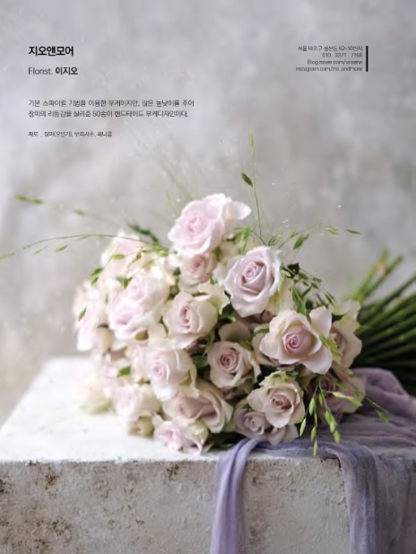 지오앤모어 이미지