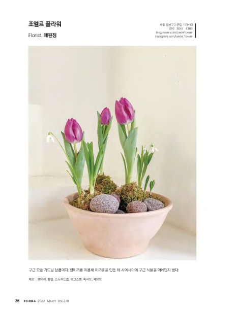 조엘르 이미지