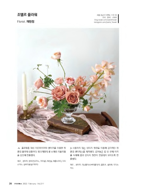 조엘르 이미지