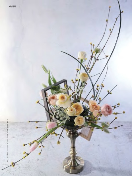 플로아트 이미지