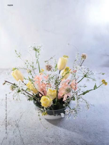 플로아트 이미지
