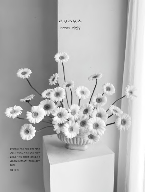 르코스모스 이미지