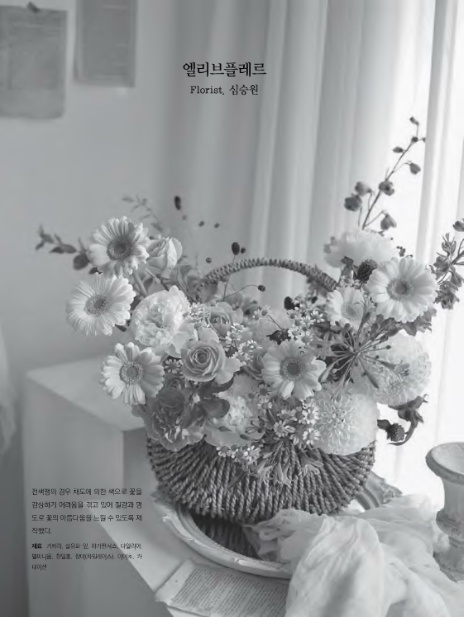 엘리브플레르 이미지